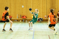 20250315_mD-TuS-05-Daun-HSC-Igel-010-Enhanced-NR