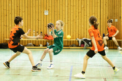 20250315_mD-TuS-05-Daun-HSC-Igel-011-Enhanced-NR