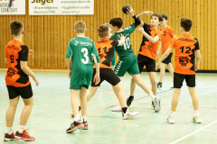 20250315_mD-TuS-05-Daun-HSC-Igel-013-Enhanced-NR