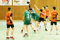 20250315_mD-TuS-05-Daun-HSC-Igel-014-Enhanced-NR