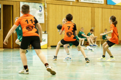 20250315_mD-TuS-05-Daun-HSC-Igel-017-Enhanced-NR