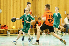 20250315_mD-TuS-05-Daun-HSC-Igel-018-Enhanced-NR