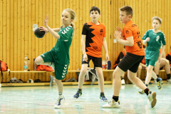 20250315_mD-TuS-05-Daun-HSC-Igel-019-Enhanced-NR