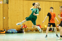 20250315_mD-TuS-05-Daun-HSC-Igel-020-Enhanced-NR