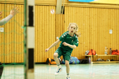 20250315_mD-TuS-05-Daun-HSC-Igel-022-Enhanced-NR