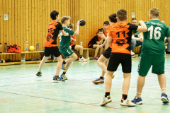 20250315_mD-TuS-05-Daun-HSC-Igel-024-Enhanced-NR