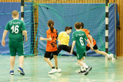 20250315_mD-TuS-05-Daun-HSC-Igel-032-Enhanced-NR