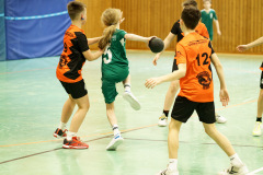 20250315_mD-TuS-05-Daun-HSC-Igel-033-Enhanced-NR