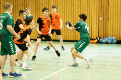 20250315_mD-TuS-05-Daun-HSC-Igel-034-Enhanced-NR
