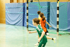 20250315_mD-TuS-05-Daun-HSC-Igel-087-Enhanced-NR