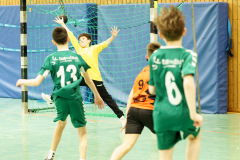 20250315_mD-TuS-05-Daun-HSC-Igel-092-Enhanced-NR