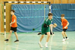 20250315_mD-TuS-05-Daun-HSC-Igel-200-Enhanced-NR