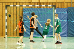 20250315_mD-TuS-05-Daun-HSC-Igel-205-Enhanced-NR