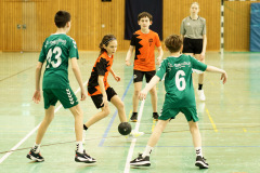 20250315_mD-TuS-05-Daun-HSC-Igel-207-Enhanced-NR