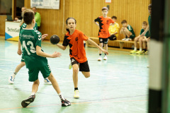 20250315_mD-TuS-05-Daun-HSC-Igel-210-Enhanced-NR