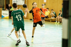 20250315_mD-TuS-05-Daun-HSC-Igel-211-Enhanced-NR
