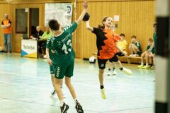 20250315_mD-TuS-05-Daun-HSC-Igel-212-Enhanced-NR