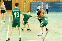 20250315_mD-TuS-05-Daun-HSC-Igel-214-Enhanced-NR