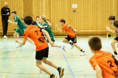 20250315_mD-TuS-05-Daun-HSC-Igel-221-Enhanced-NR