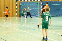 20250315_mD-TuS-05-Daun-HSC-Igel-222-Enhanced-NR