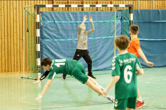 20250315_mD-TuS-05-Daun-HSC-Igel-243-Enhanced-NR