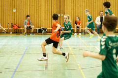 20250315_mD-TuS-05-Daun-HSC-Igel-247-Enhanced-NR