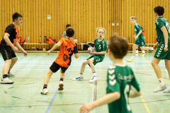 20250315_mD-TuS-05-Daun-HSC-Igel-248-Enhanced-NR