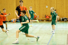20250315_mD-TuS-05-Daun-HSC-Igel-249-Enhanced-NR