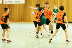 20250315_mD-TuS-05-Daun-HSC-Igel-250-Enhanced-NR