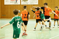 20250315_mD-TuS-05-Daun-HSC-Igel-252-Enhanced-NR