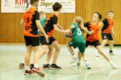 20250315_mD-TuS-05-Daun-HSC-Igel-256-Enhanced-NR