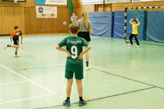 20250315_mD-TuS-05-Daun-HSC-Igel-318-Enhanced-NR