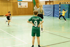 20250315_mD-TuS-05-Daun-HSC-Igel-319-Enhanced-NR
