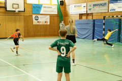 20250315_mD-TuS-05-Daun-HSC-Igel-320-Enhanced-NR