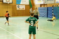 20250315_mD-TuS-05-Daun-HSC-Igel-322-Enhanced-NR
