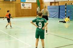 20250315_mD-TuS-05-Daun-HSC-Igel-323-Enhanced-NR