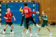 20260208-20260208_mD_TuS-05-Daun-HSG-Wittlich-048