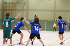 20231128-IMG_3657