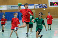 20231118-IMG_3524