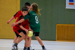 20240225-DSC_09111