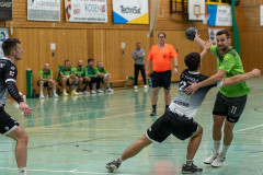 20241005-66_08460
