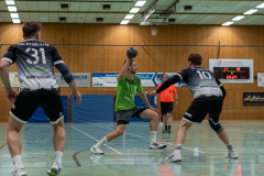 20241005-66_08550