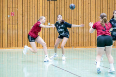 20260124-20260124_wB_TuS-05-Daun-JSG-Hunsrueck-015