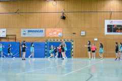 20230128-DSC_0651