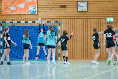 20230128-DSC_0752