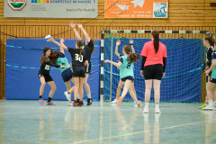20230128-DSC_0884