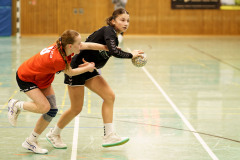 20241215-20241215_wB-TuS-05-Daun-HSG-Wittlich-II-044
