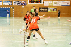 20241215-20241215_wB-TuS-05-Daun-HSG-Wittlich-II-083