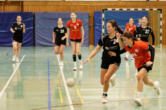 20241215-20241215_wB-TuS-05-Daun-HSG-Wittlich-II-096