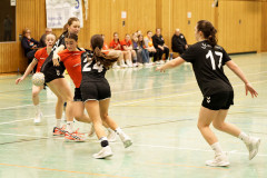 20241215-20241215_wB-TuS-05-Daun-HSG-Wittlich-II-299
